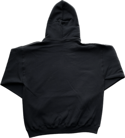 Toronto Skyline Hoodie